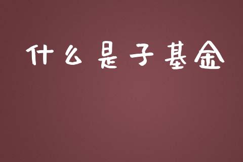 什么是子基金_https://wap.hpmsj.cn_外汇汇率_第1张