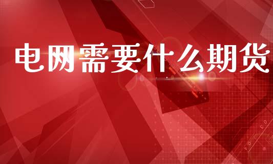 电网需要什么期货_https://wap.hpmsj.cn_金融机构_第1张
