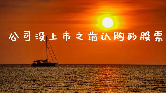 公司没上市之前认购的股票_https://wap.hpmsj.cn_外汇汇率_第1张