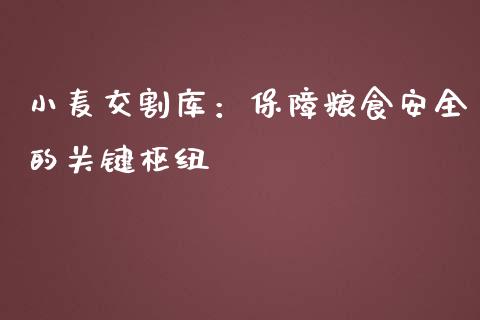小麦交割库：保障粮食安全的关键枢纽_https://wap.hpmsj.cn_基金分析_第1张