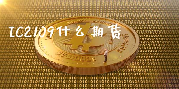 IC2109什么期货_https://wap.hpmsj.cn_外汇汇率_第1张