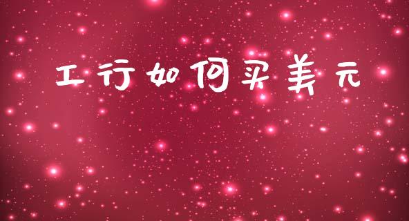 工行如何买美元_https://wap.hpmsj.cn_财经时评_第1张