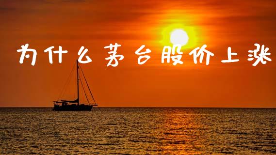 为什么茅台股价上涨_https://wap.hpmsj.cn_财经时评_第1张