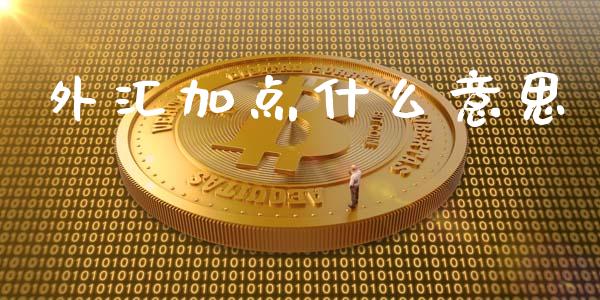 外汇加点什么意思_https://wap.hpmsj.cn_基金分析_第1张