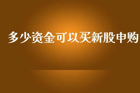 多少资金可以买新股申购_https://wap.hpmsj.cn_期货交易_第1张