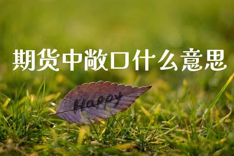 期货中敞口什么意思_https://wap.hpmsj.cn_金融机构_第1张