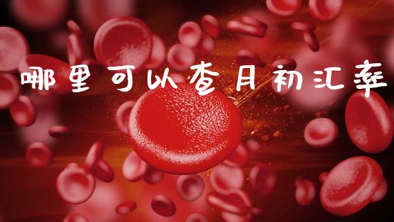 哪里可以查月初汇率_https://wap.hpmsj.cn_债券投资_第1张