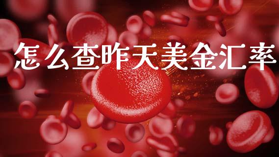 怎么查昨天美金汇率_https://wap.hpmsj.cn_债券投资_第1张