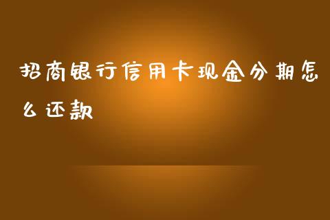 招商银行信用卡现金分期怎么还款_https://wap.hpmsj.cn_外汇汇率_第1张
