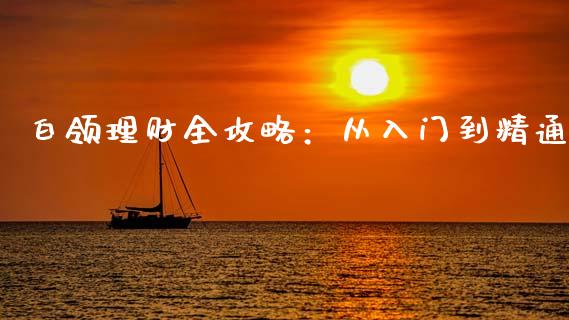 白领理财全攻略：从入门到精通_https://wap.hpmsj.cn_债券投资_第1张