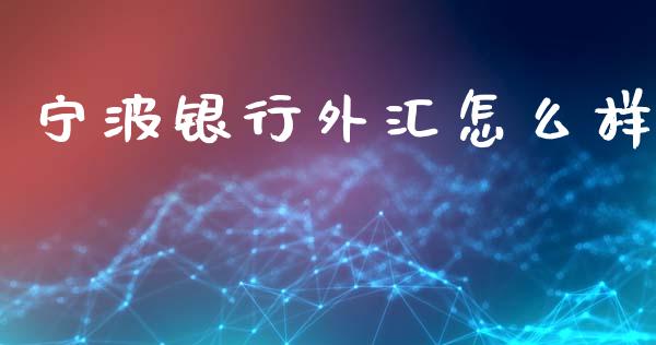 宁波银行外汇怎么样_https://wap.hpmsj.cn_基金分析_第1张