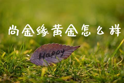尚金缘黄金怎么样_https://wap.hpmsj.cn_财经时评_第1张