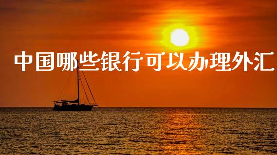 中国哪些银行可以办理外汇_https://wap.hpmsj.cn_基金分析_第1张