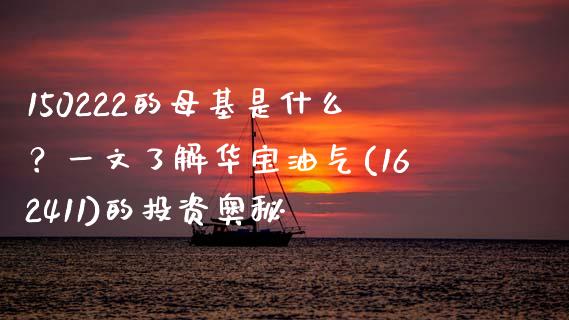 150222的母基是什么？一文了解华宝油气(162411)的投资奥秘_https://wap.hpmsj.cn_期货交易_第1张