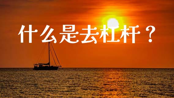什么是去杠杆?_债券投资_第1张_财经时评_基金分析_期货交易_金融机构_外汇汇率_债券投资 什么是去杠杆?_https://wap.hpmsj.cn_债券投资_第1张