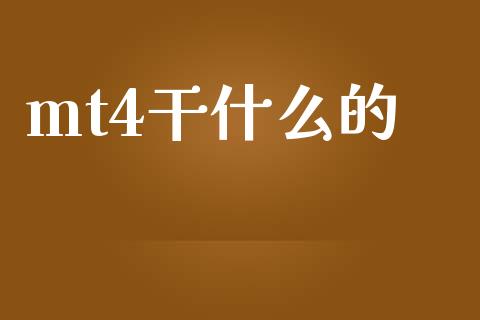 mt4干什么的_https://wap.hpmsj.cn_金融机构_第1张