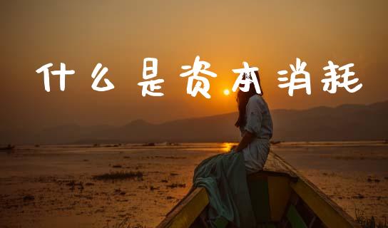 什么是资本消耗_基金分析_第1张_财经时评_基金分析_期货交易_金融机构_外汇汇率_债券投资 什么是资本消耗_https://wap.hpmsj.cn_基金分析_第1张