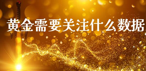 黄金需要关注什么数据_https://wap.hpmsj.cn_基金分析_第1张