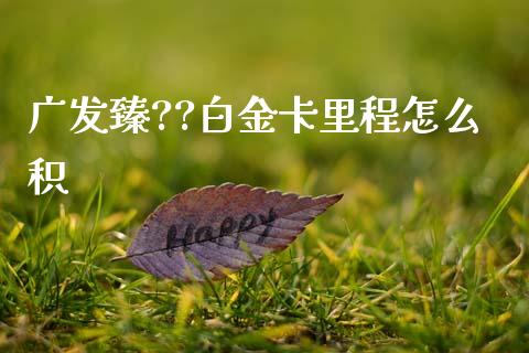 广发臻??白金卡里程怎么积_https://wap.hpmsj.cn_基金分析_第1张