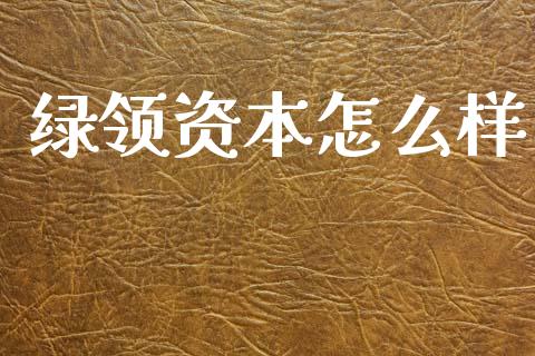 绿领资本怎么样_https://wap.hpmsj.cn_外汇汇率_第1张