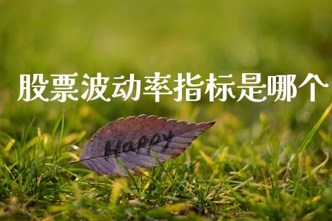股票波动率指标是哪个_https://wap.hpmsj.cn_基金分析_第1张