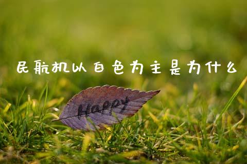 民航机以白色为主是为什么_https://wap.hpmsj.cn_期货交易_第1张
