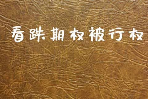 看跌期权被行权_https://wap.hpmsj.cn_债券投资_第1张