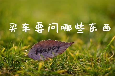 买车要问哪些东西_https://wap.hpmsj.cn_债券投资_第1张