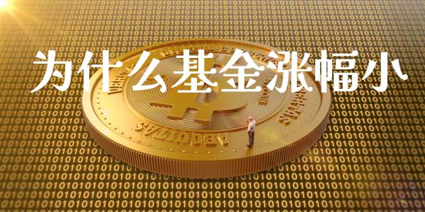 为什么基金涨幅小_https://wap.hpmsj.cn_债券投资_第1张