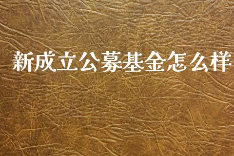 新成立公募基金怎么样_https://wap.hpmsj.cn_债券投资_第1张