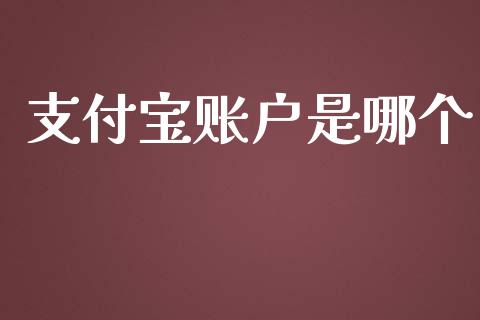 支付宝账户是哪个_https://wap.hpmsj.cn_财经时评_第1张