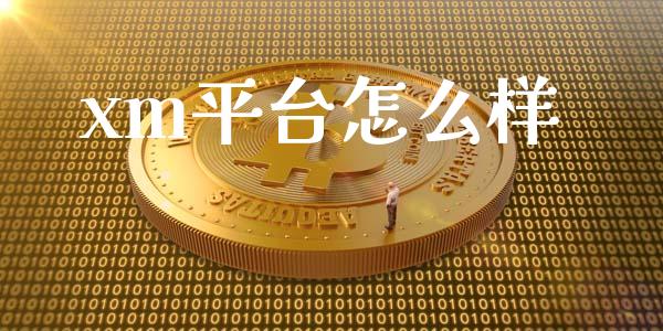 xm平台怎么样_https://wap.hpmsj.cn_外汇汇率_第1张