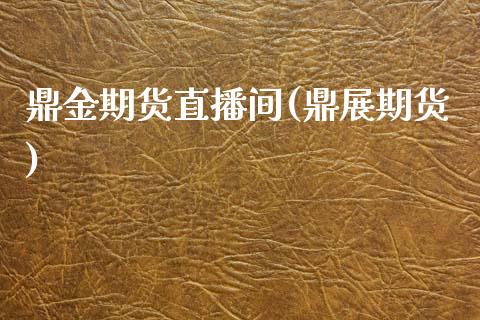 鼎金期货直播间(鼎展期货)_https://wap.hpmsj.cn_债券投资_第1张
