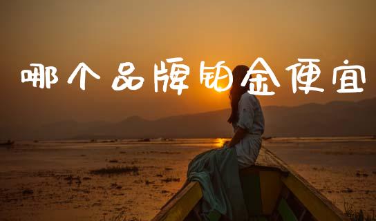 哪个品牌铂金便宜_https://wap.hpmsj.cn_金融机构_第1张