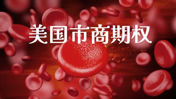美国市商期权_https://wap.hpmsj.cn_外汇汇率_第1张