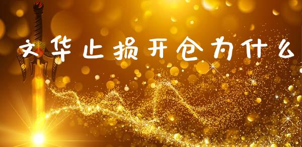 文华止损开仓为什么_https://wap.hpmsj.cn_金融机构_第1张