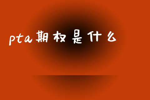 pta期权是什么_https://wap.hpmsj.cn_金融机构_第1张