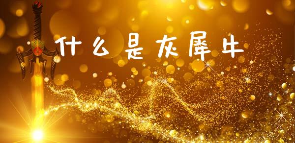 什么是灰犀牛_https://wap.hpmsj.cn_财经时评_第1张