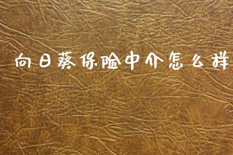 向日葵保险中介怎么样_https://wap.hpmsj.cn_基金分析_第1张