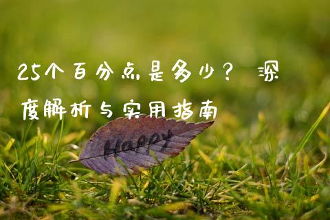 25个百分点是多少？ 深度解析与实用指南_https://wap.hpmsj.cn_基金分析_第1张