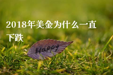2018年美金为什么一直下跌_https://wap.hpmsj.cn_基金分析_第1张