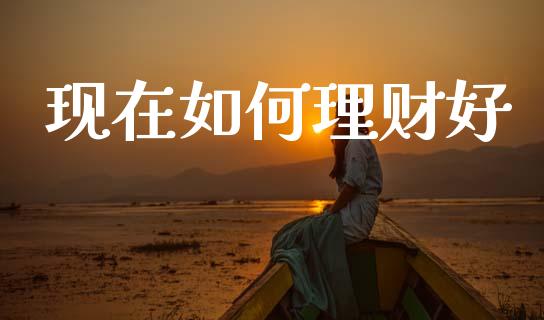 现在如何理财好_https://wap.hpmsj.cn_基金分析_第1张