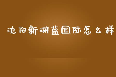 沈阳新湖蓝国际怎么样_https://wap.hpmsj.cn_财经时评_第1张