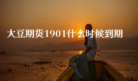 大豆期货1901什么时候到期_https://wap.hpmsj.cn_基金分析_第1张