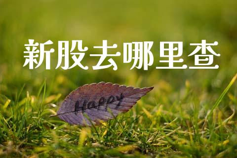 新股去哪里查_https://wap.hpmsj.cn_基金分析_第1张