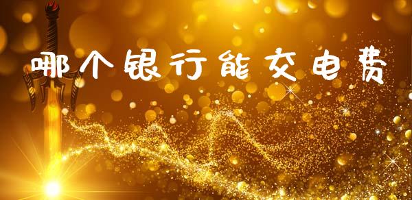 哪个银行能交电费_https://wap.hpmsj.cn_金融机构_第1张