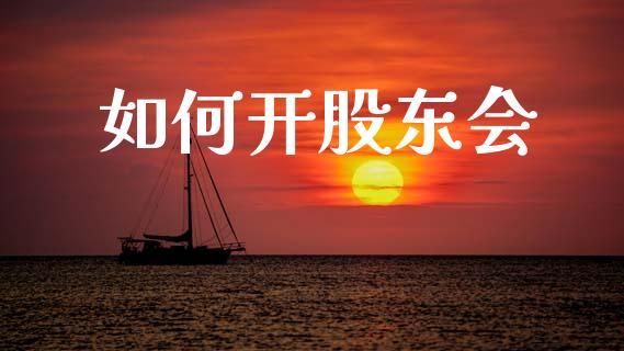 如何开股东会_https://wap.hpmsj.cn_债券投资_第1张
