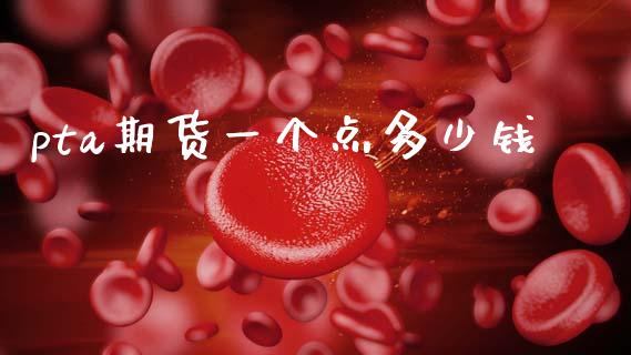 pta期货一个点多少钱_https://wap.hpmsj.cn_基金分析_第1张