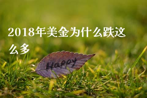 2018年美金为什么跌这么多_https://wap.hpmsj.cn_期货交易_第1张