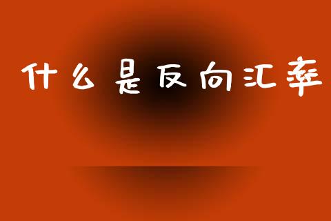 什么是反向汇率_https://wap.hpmsj.cn_外汇汇率_第1张